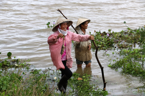 Nước lũ ngập đồng, người dân đổ xô đi &#34;săn&#34; chuột - 6