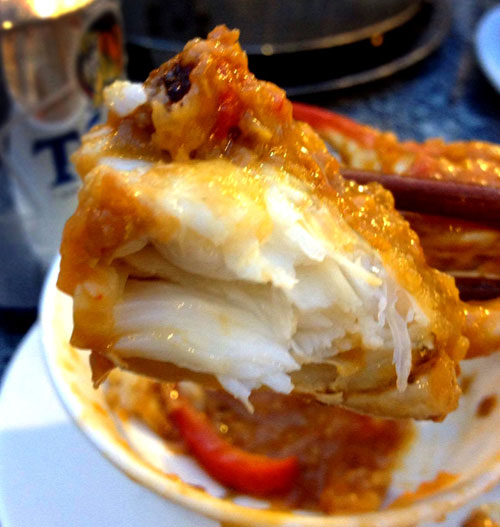 Thích thú trước bể hải sản “khủng” giữa nhà hàng Sepia - 7