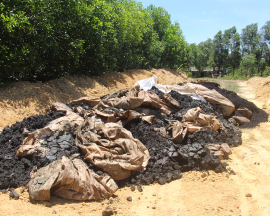 Kỷ luật chủ tịch phường để trăm tấn rác thải Formosa chôn trái phép - 1