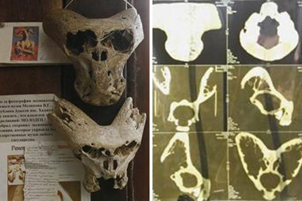 Phát xít Đức từng giữ 2 đầu lâu người ngoài hành tinh? - 2