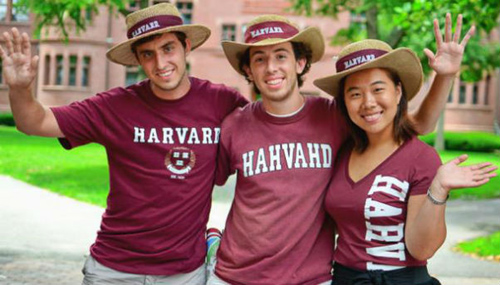 Thực hư câu chuyện “Havard, 4 rưỡi sáng” lừa đảo triệu người Việt - 5