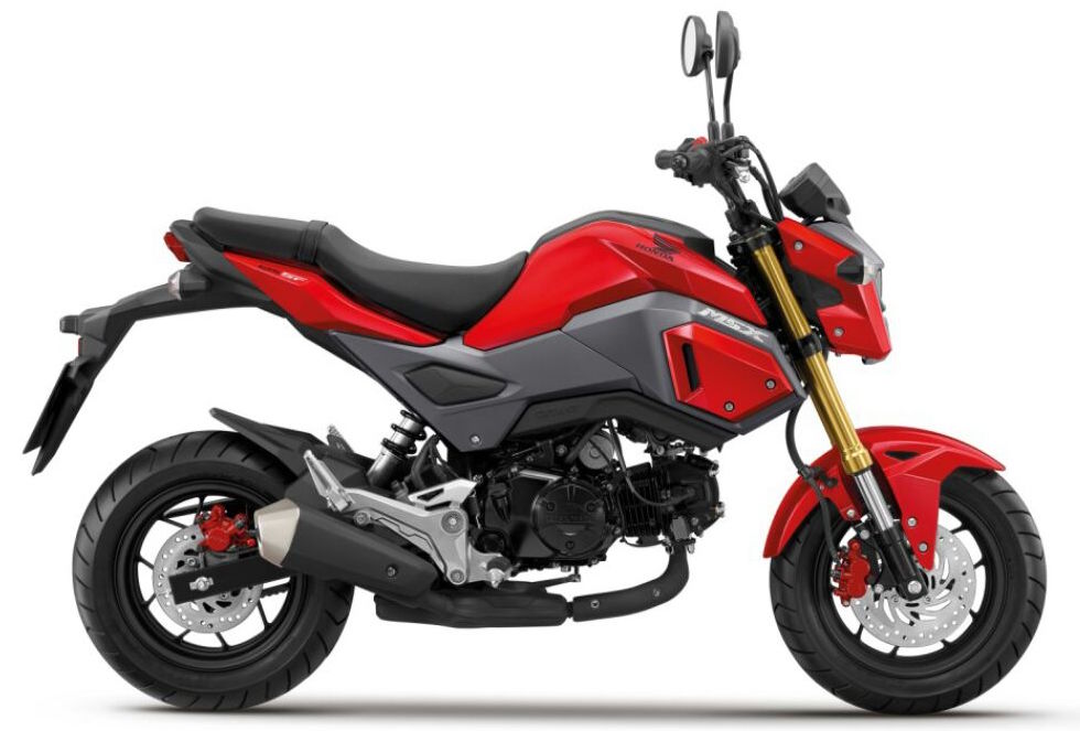 Honda MSX 125 lên kệ, giá 57 triệu đồng - 2