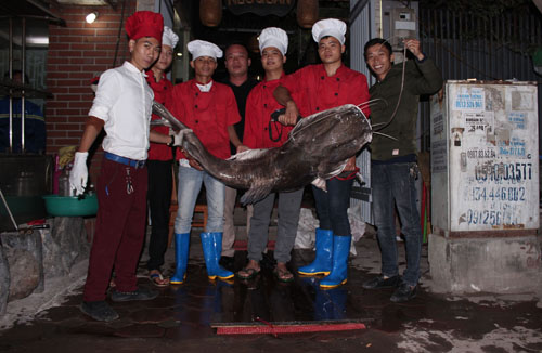 Ngắm lại 7 “quái ngư” khổng lồ “bơi” từ Campuchia về Việt Nam - 2