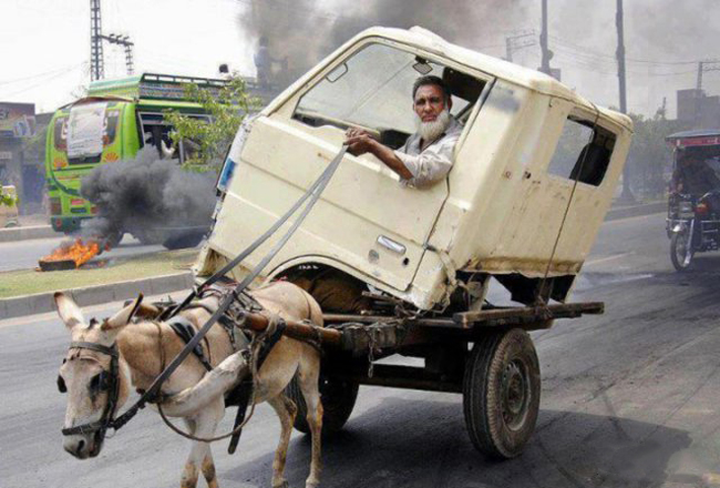 Bác nào đi "taxi lừa" lên đây em chở nào.