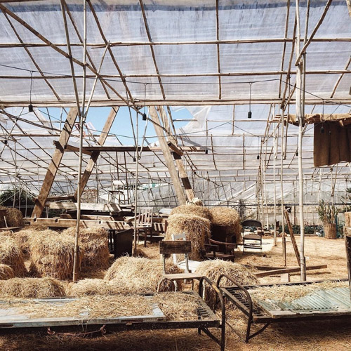 Top 10 homestay khiến dân phượt muốn tới "ngay và luôn" - 10