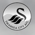Chi tiết Swansea - Sunderland: Giương cờ trắng (KT) - 1