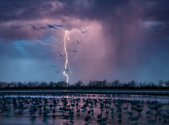 Ảnh chụp một cơn bão gần sông Wood, bang Nebraska, Mỹ nơi tập trung khoảng 413.000 con sếu.