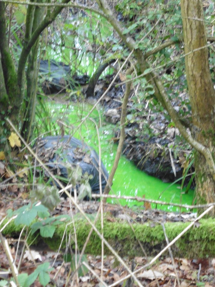 Anh: Suối bỗng chuyển màu xanh lá cây bí ẩn - 1