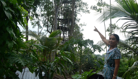 Lạ lùng cụ ông chỉ thích ở trên… ngọn cây! - 2