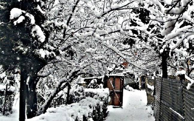 Nghẹt thở vì vẻ đẹp của ngôi làng tuyết phủ ở Ấn Độ - 1
