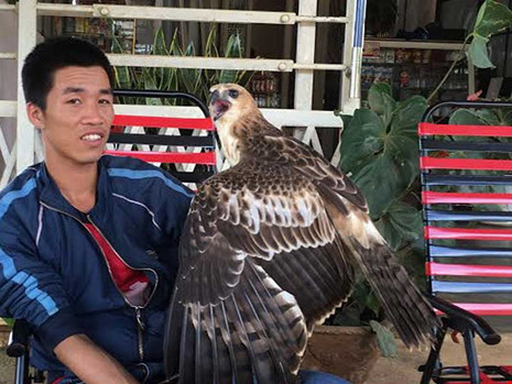 Thú chơi chim... dữ - 2