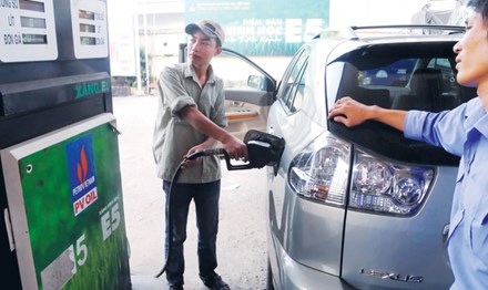 Triển khai đại trà xăng sinh học: Băn khoăn! - 1