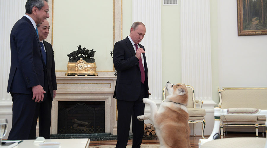 Putin trổ tài dỗ chó dữ khi gặp phái đoàn Nhật Bản - 1