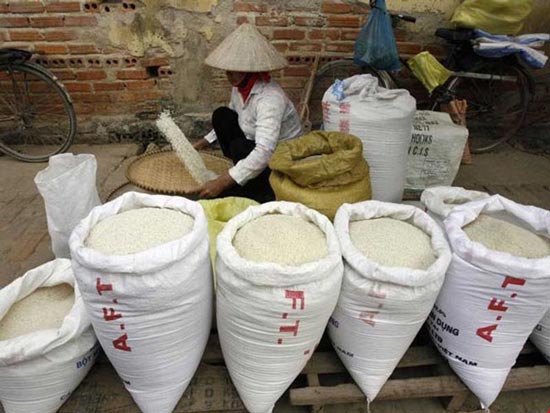 Vì sao gạo Việt bị &#39;đo ván&#39; cả sân nhà lẫn sân khách? - 1