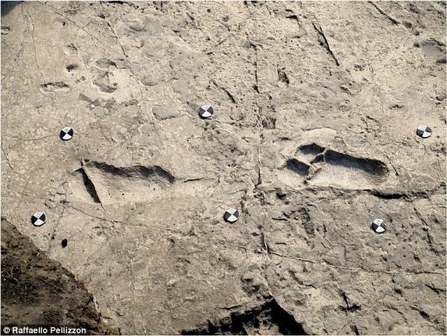 Dấu chân người tiền sử 3,6 triệu năm tiết lộ nhiều bí mật - 1