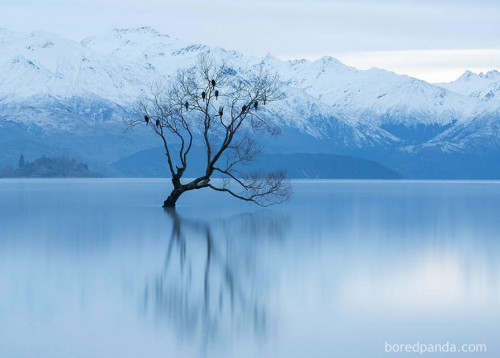 Chùm ảnh: Mùa đông đã biến đổi thế giới như thế nào? - 8