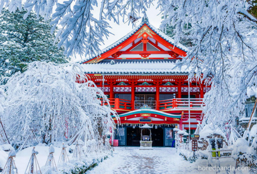 Chùm ảnh: Mùa đông đã biến đổi thế giới như thế nào? - 10