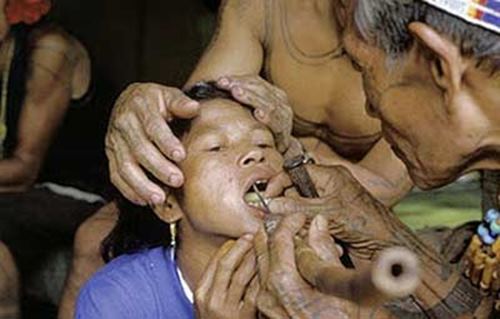Kỳ dị cách mài răng &#34;cá mập&#34; gia tăng nhan sắc của người Mentawai - 1