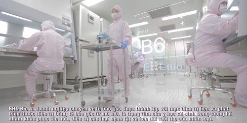 Tế bào gốc tự thân – Trọng tâm của y học tái sinh - 1