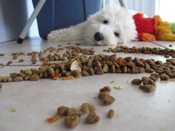 14 “việc nhẹ lương cao” kì quặc nhất thế giới - 6