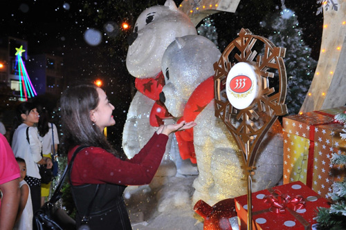 Giới trẻ đổ xô đến chụp ảnh tại con đường mùa đông độc đáo - 2