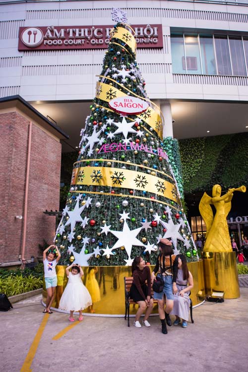 Giới trẻ đổ xô đến chụp ảnh tại con đường mùa đông độc đáo - 3