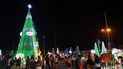 Giới trẻ đổ xô đến chụp ảnh tại con đường mùa đông độc đáo - 6