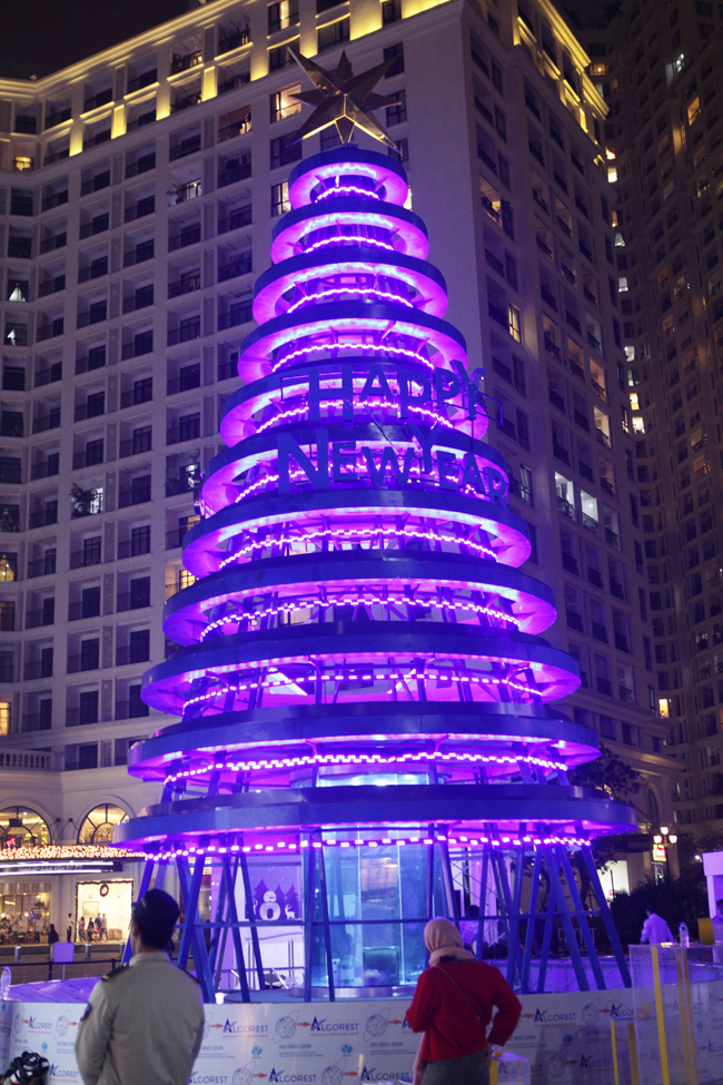 Để chuẩn bị cho đêm Giáng sinh, nhiều điểm vui chơi ở Thủ đô được trang hoàng lộng lẫy. Một cây thông lớn được trang trí đơn giản, đang gấp rút hoàn thành để chào đón đêm Noel và Tết Dương lịch.