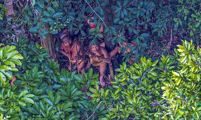 Lạc đường, phát hiện bộ lạc nguyên thủy ở rừng Amazon - 1