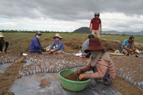 Nước mắt người trồng dưa hạ du thủy điện An Khê-Ka Nak - 2