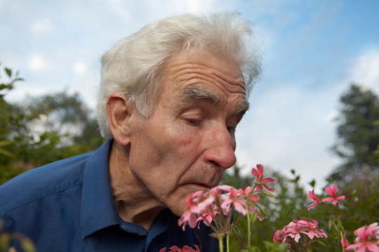 Trắc nghiệm mùi giúp chẩn đoán bệnh Alzheimer - 1