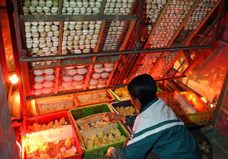 Làm giàu từ mô hình nuôi gà Đông Tảo - 5