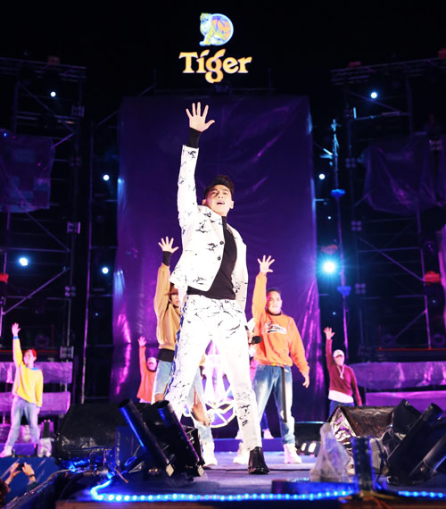 Dàn sao hội tụ tại Tiger Remix 2017 - 3