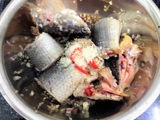 Mộc mạc như cá lóc kho bầu - 2