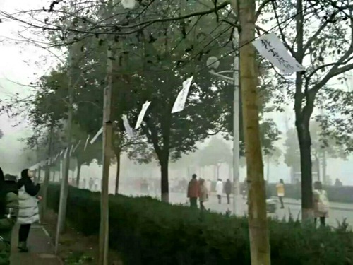 Màn tỏ tình giống hệt... đám tang gây xôn xao mạng xã hội - 2