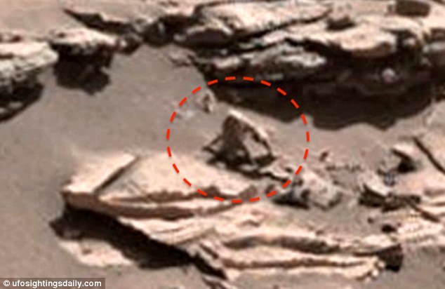 Phát hiện khỉ nhện trên sao Hỏa? - 1