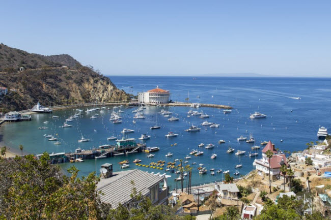 Santa Catalina, California: Chỉ nằm cách thành phố Los Angeles, hòn đảo Santa Catalina giống như một thế giới hoàn toàn khác biệt.