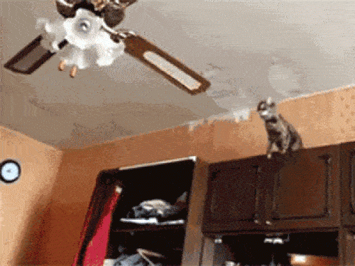 Những khoảnh khắc khiến ai nấy đều "thót tim" - 5