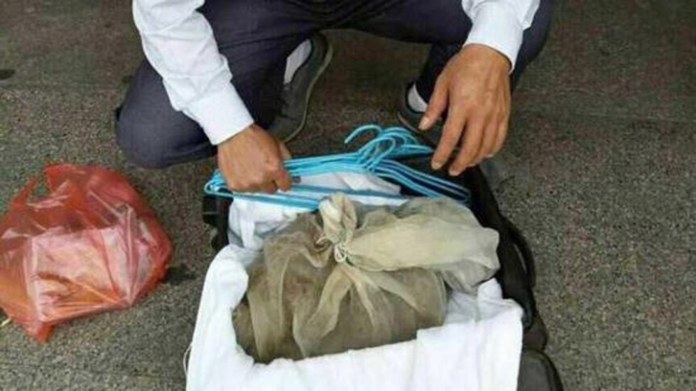 Phát hiện 50 rắn độc trong vali ở ga tàu Trung Quốc - 1