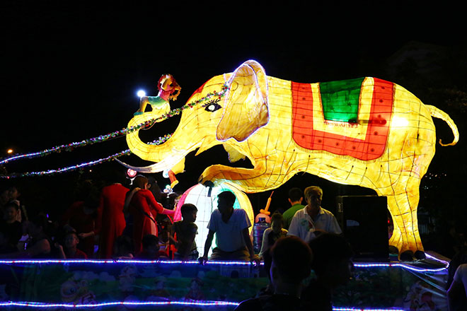 Lên Tuyên Quang ngắm voi, rùa "khủng" ra phố chơi Trung thu - 7