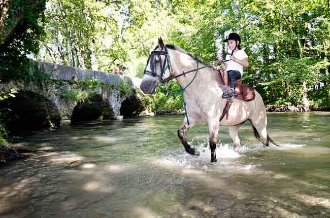 Lạc trôi trong ngôi trường cấp hai với mức học phí 2,6 tỷ một năm - 3