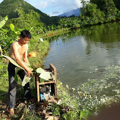 Làm giàu ở nông thôn: Muốn giàu nuôi cá, muốn khá nuôi lợn - 1