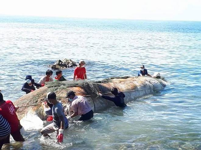 Nóng 24h qua: Bộ trưởng Trương Quang Nghĩa làm Bí thư Đà Nẵng - 4