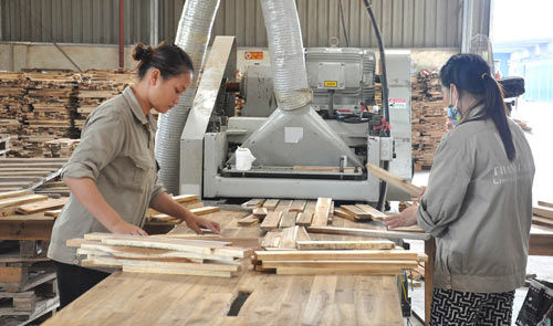 Rộng đường xuất khẩu, ngành gỗ chắc chắn cán mốc 8 tỷ USD - 1