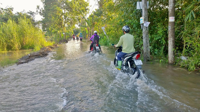 Triều cường dâng cao kỉ lục, TP Cần Thơ thành &#34;sông” - 5