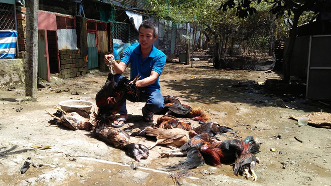 Nóng 24h qua: Dân chia thứ tự, xếp hàng để đánh “cẩu tặc” - 3