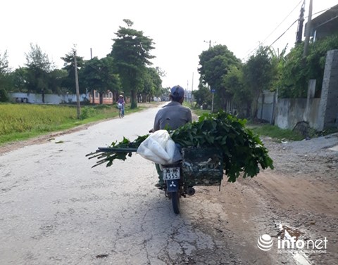 Giăng "thiên la địa võng" tràn lan, tận diệt chim trời - 9
