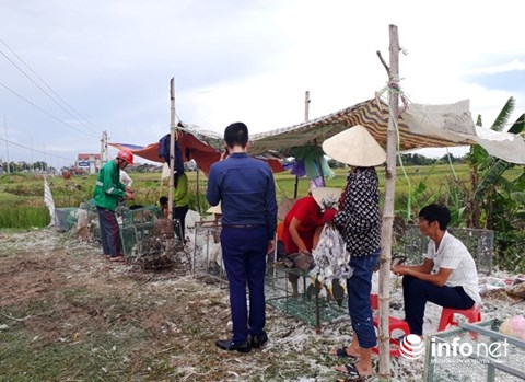 Giăng "thiên la địa võng" tràn lan, tận diệt chim trời - 7