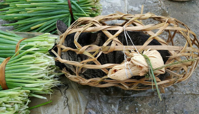 Mộc mạc chợ phiên Du Già - 8