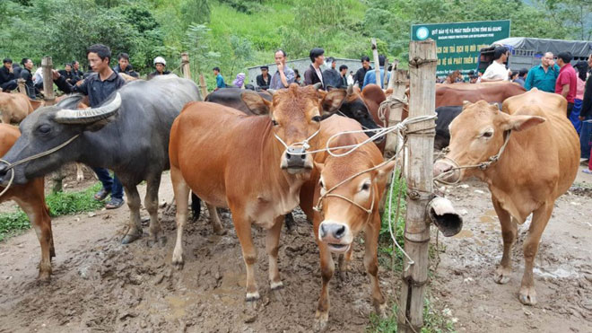 Mộc mạc chợ phiên Du Già - 17